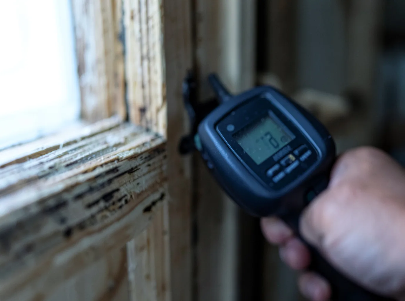 Moisture Inspection And Documentation in Copperas Cove, TX